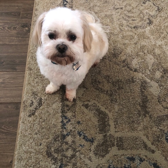 MEET YOUR POSHER - Picture 3 of 5